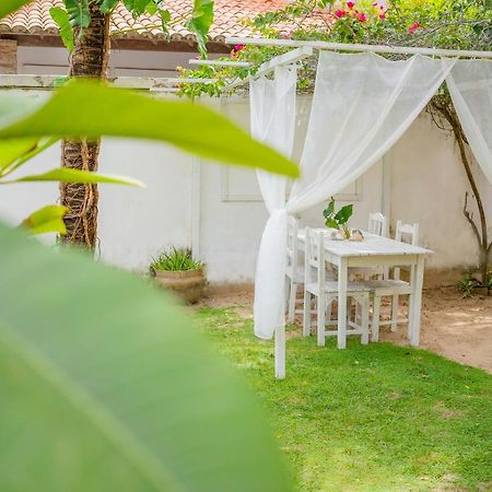 הוילה ז'יז'וקה דה ז'ריקואקוארה Casa Jasmin מראה חיצוני תמונה